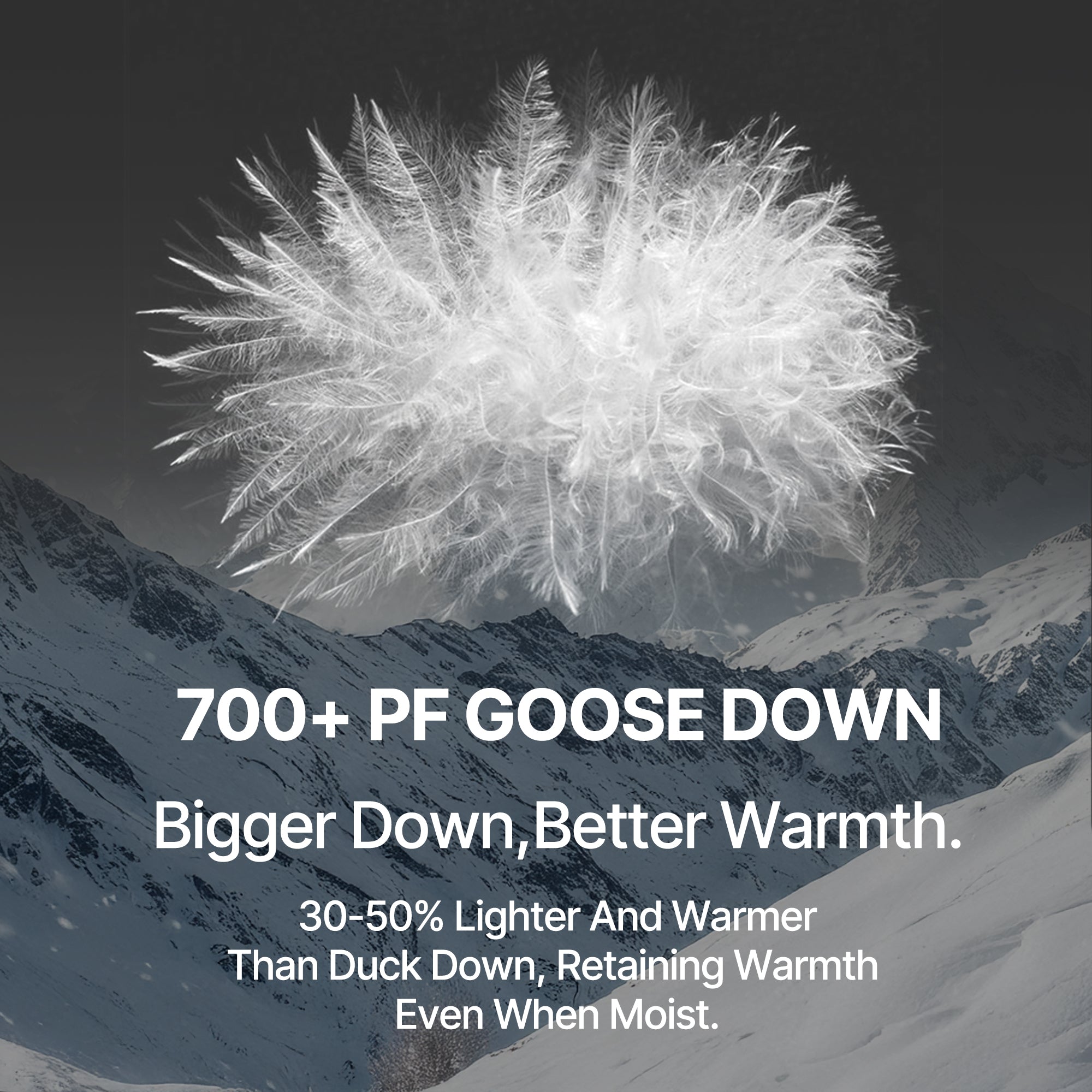 Aurora  Hoody Goose Down Jacket